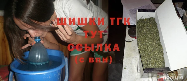 прущие грибы Костерёво
