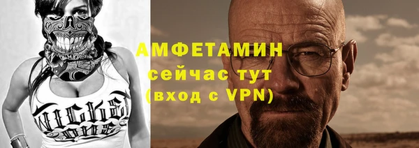 прущие грибы Костерёво