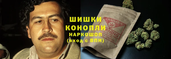 прущие грибы Костерёво