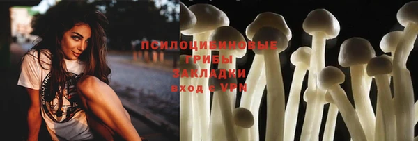 молекула духа Коряжма
