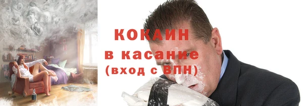 прущие грибы Костерёво