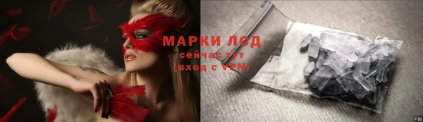 прущие грибы Костерёво