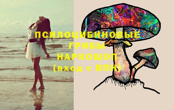 прущие грибы Костерёво