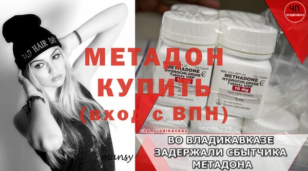 прущие грибы Костерёво
