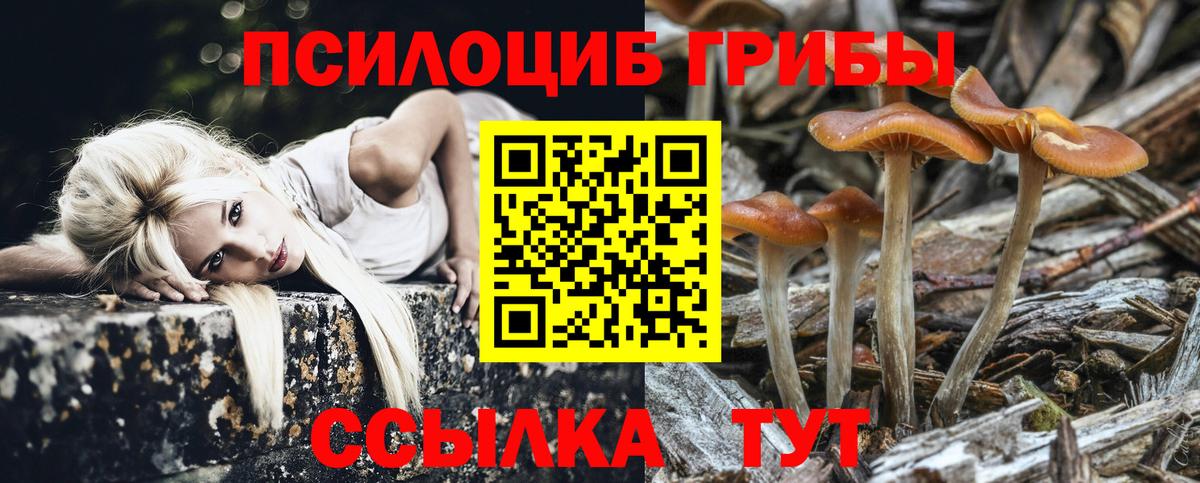 Краснотурьинск  Псилоцибиновые грибы мицелий  Вход с VPN 